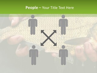 Harvesting Bream Production PowerPoint Template