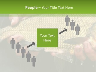 Harvesting Bream Production PowerPoint Template