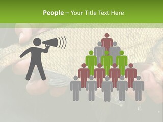 Harvesting Bream Production PowerPoint Template