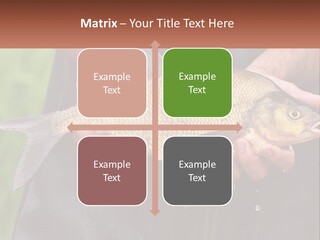 Freshwater Aquaculture Cloudy PowerPoint Template