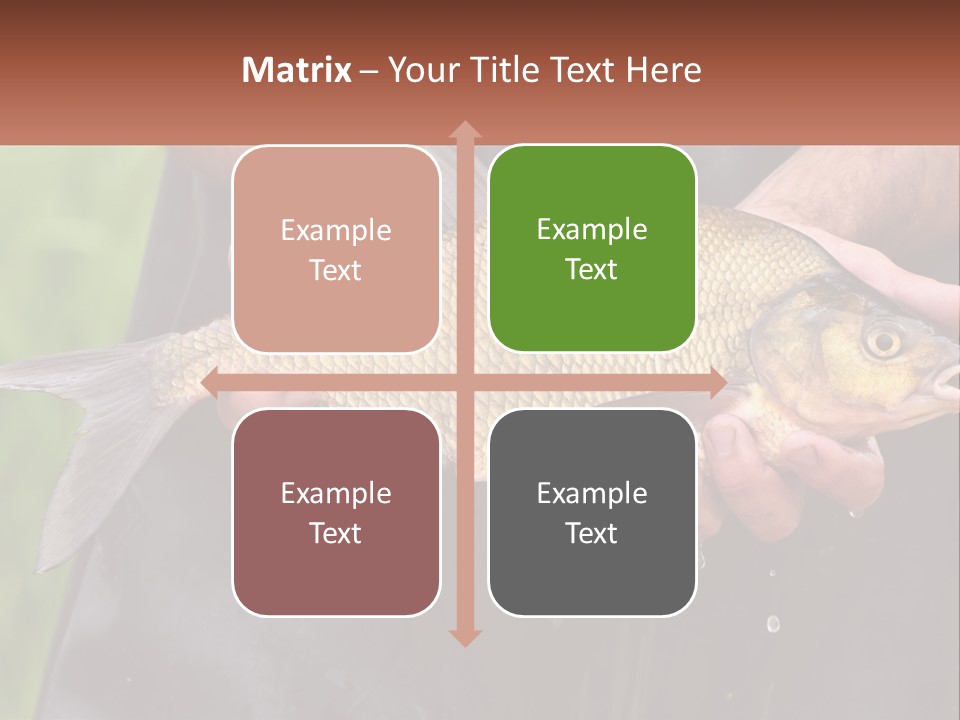 Freshwater Aquaculture Cloudy PowerPoint Template
