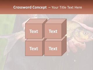Freshwater Aquaculture Cloudy PowerPoint Template
