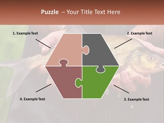 Freshwater Aquaculture Cloudy PowerPoint Template
