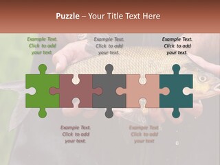 Freshwater Aquaculture Cloudy PowerPoint Template