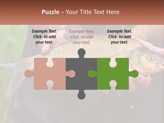 Freshwater Aquaculture Cloudy PowerPoint Template