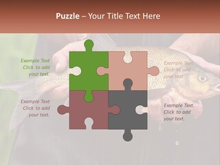 Freshwater Aquaculture Cloudy PowerPoint Template