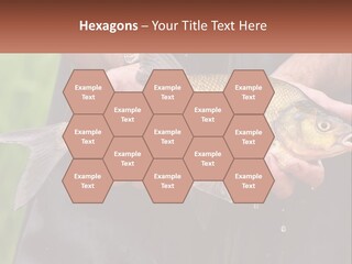 Freshwater Aquaculture Cloudy PowerPoint Template