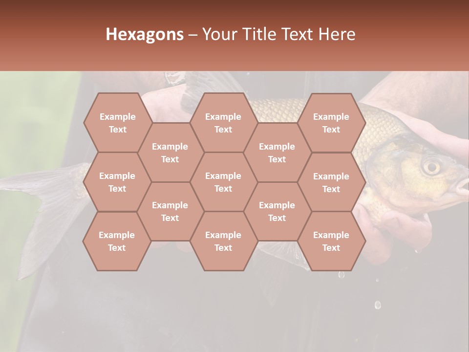 Freshwater Aquaculture Cloudy PowerPoint Template