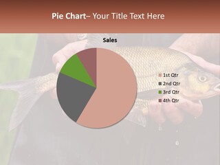 Freshwater Aquaculture Cloudy PowerPoint Template