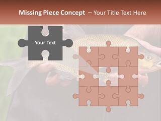 Freshwater Aquaculture Cloudy PowerPoint Template