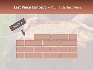 Freshwater Aquaculture Cloudy PowerPoint Template