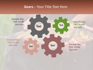 Freshwater Aquaculture Cloudy PowerPoint Template