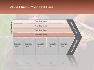 Freshwater Aquaculture Cloudy PowerPoint Template