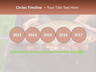 Freshwater Aquaculture Cloudy PowerPoint Template