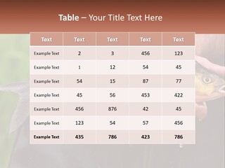Freshwater Aquaculture Cloudy PowerPoint Template