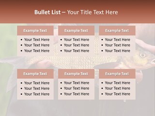 Freshwater Aquaculture Cloudy PowerPoint Template