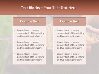 Freshwater Aquaculture Cloudy PowerPoint Template