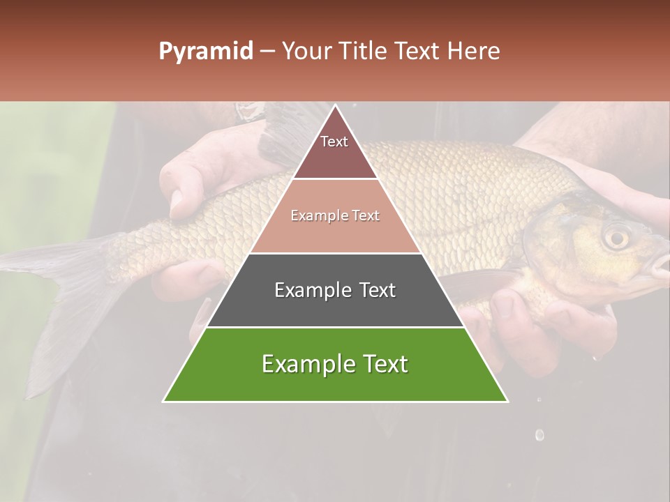Freshwater Aquaculture Cloudy PowerPoint Template