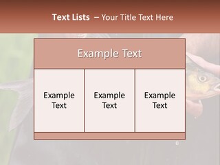 Freshwater Aquaculture Cloudy PowerPoint Template