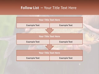 Freshwater Aquaculture Cloudy PowerPoint Template