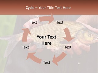Freshwater Aquaculture Cloudy PowerPoint Template