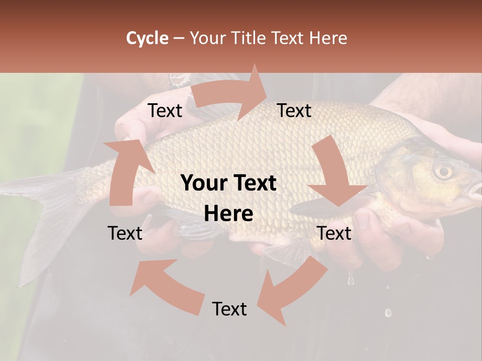 Freshwater Aquaculture Cloudy PowerPoint Template