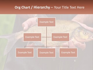Freshwater Aquaculture Cloudy PowerPoint Template