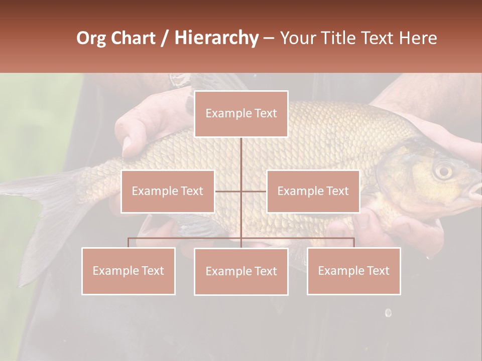 Freshwater Aquaculture Cloudy PowerPoint Template