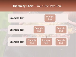 Freshwater Aquaculture Cloudy PowerPoint Template
