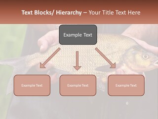 Freshwater Aquaculture Cloudy PowerPoint Template