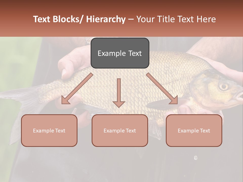 Freshwater Aquaculture Cloudy PowerPoint Template
