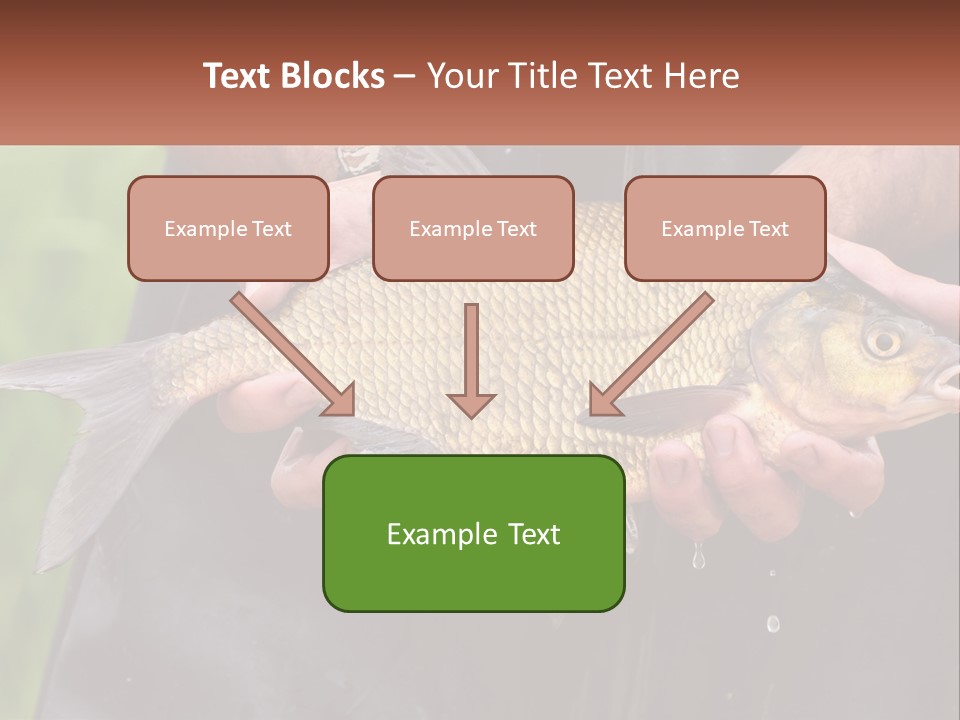 Freshwater Aquaculture Cloudy PowerPoint Template