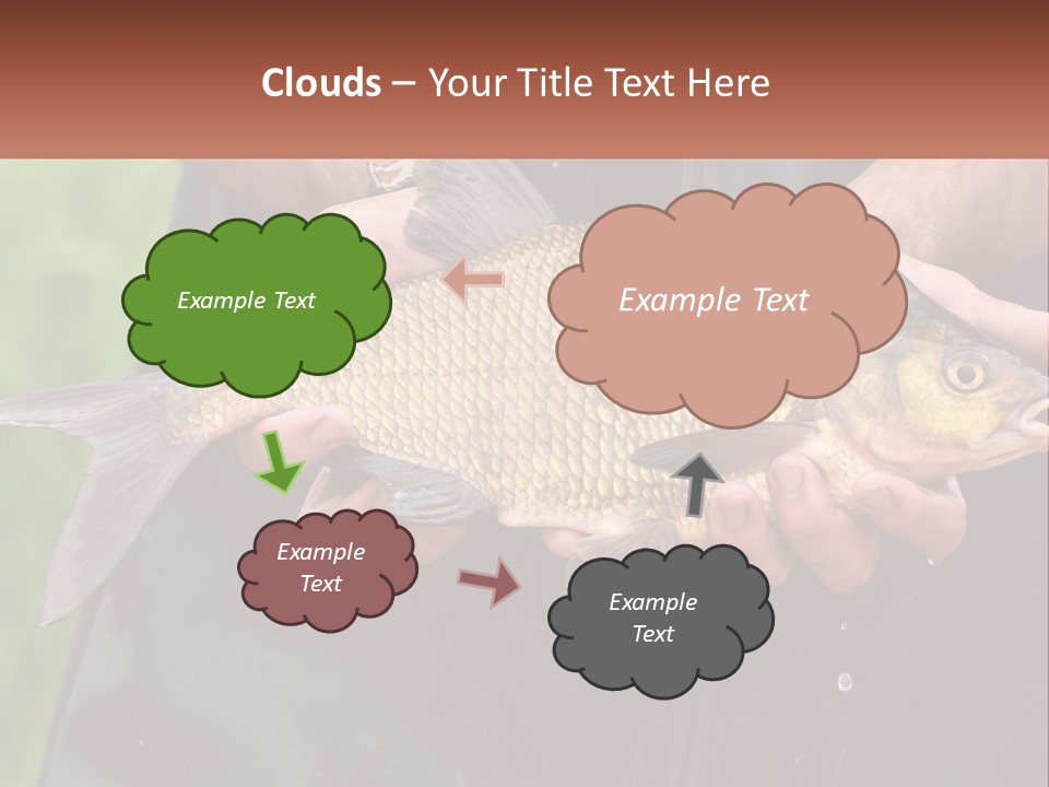 Freshwater Aquaculture Cloudy PowerPoint Template