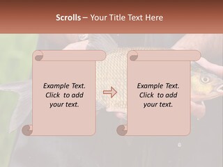 Freshwater Aquaculture Cloudy PowerPoint Template