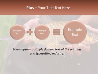 Freshwater Aquaculture Cloudy PowerPoint Template