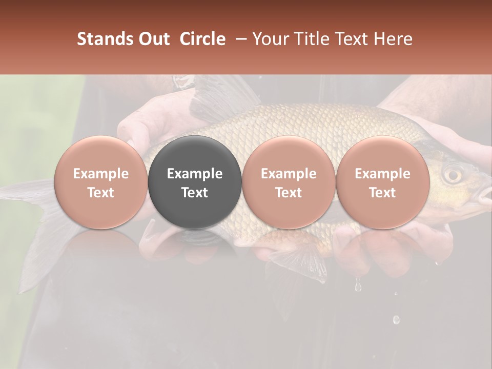 Freshwater Aquaculture Cloudy PowerPoint Template