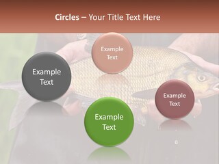 Freshwater Aquaculture Cloudy PowerPoint Template