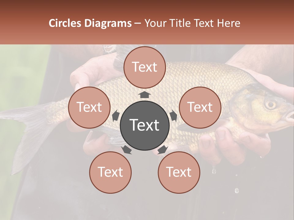 Freshwater Aquaculture Cloudy PowerPoint Template