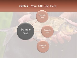 Freshwater Aquaculture Cloudy PowerPoint Template