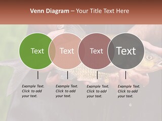 Freshwater Aquaculture Cloudy PowerPoint Template