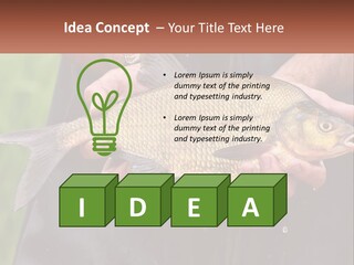 Freshwater Aquaculture Cloudy PowerPoint Template