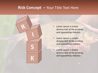 Freshwater Aquaculture Cloudy PowerPoint Template