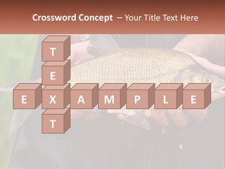 Freshwater Aquaculture Cloudy PowerPoint Template