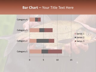Freshwater Aquaculture Cloudy PowerPoint Template