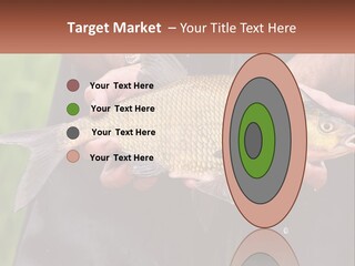 Freshwater Aquaculture Cloudy PowerPoint Template