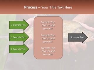 Freshwater Aquaculture Cloudy PowerPoint Template