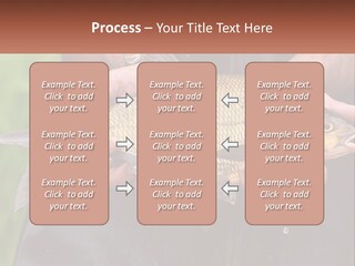Freshwater Aquaculture Cloudy PowerPoint Template