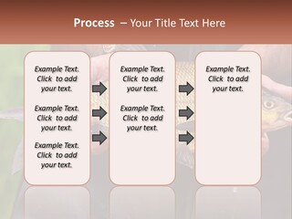 Freshwater Aquaculture Cloudy PowerPoint Template