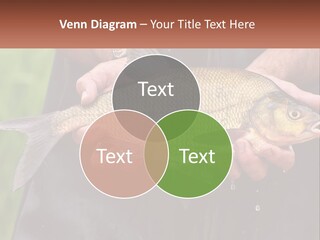 Freshwater Aquaculture Cloudy PowerPoint Template