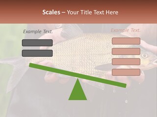 Freshwater Aquaculture Cloudy PowerPoint Template